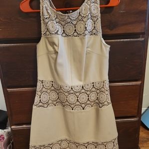 Beige Bailey 44 summer dress.